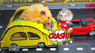 🐹Hamster in Crash Car Stories  Hamster Escapes Maze for Pets In Real Life [upl. by Ravahs]