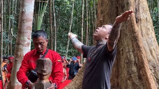 Panglima Jilah membuka tempat Keramat Temenggung Simpi di Badau iban dayak [upl. by Iline254]