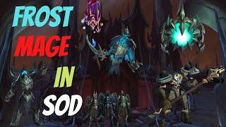 Sanctum of Domination Heroic  All Bosses Frost Mage PoV  How to get Average 90 Logs [upl. by Elman]