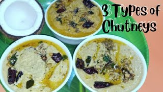 3 Types of Chutneys  అన్నం రోటి టిఫిన్స్ అన్నీటిలోకి ఎంతో రుచిగా ఉండే 3 రకాలైన చట్నీస్ [upl. by Ariew]