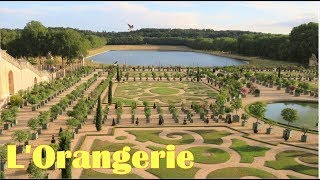 Château de Versailles 4  LOrangerie Faites le plein de vitamine C [upl. by Llenhoj]