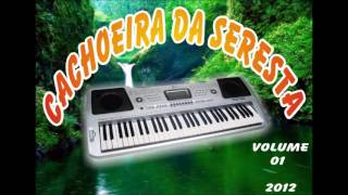 som Automotivo  Cachoeira da seresta ao vivo cd completo [upl. by Ytak]