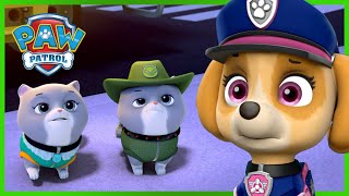 汪汪隊终极救援：拯救皇家猫咪  PAW Patrol 汪汪隊立大功  兒童卡通 [upl. by Retep]