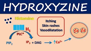 Hydroxyzine  How it works in pruritus and urticaria [upl. by Dido]