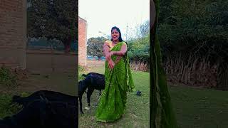 G song bollywood aon ki chhori mein hun rangreli [upl. by Evonne833]