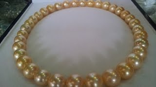 Big Golden South Sea Pearl Necklace for sale AFFORDABLE [upl. by Winfield291]