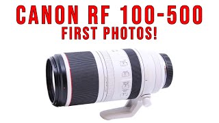 Canon RF 100500  First Photos review  S7 E10 [upl. by Eynobe711]