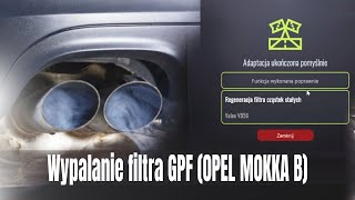 Statyczna procedura wypalaniaregeneracji filtra GPF w silniku benzynowym Euro 6 [upl. by Yrak]