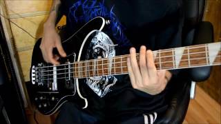 Laura Pausini  Entre tú y mil mares Bass Cover [upl. by Elsi123]