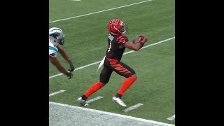 JaMarr Chase catches for a 11yard Gain vs Carolina Panthers [upl. by Brink320]