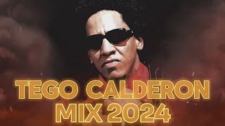 TEGO CALDERON MIX 2024  REGGAETON VIEJO MIX  REGGAETON CLASICO MIX 2024 [upl. by Feriga]