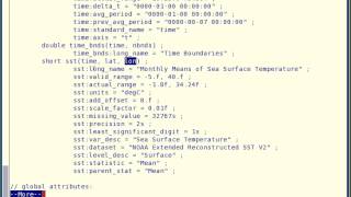netcdf what is [upl. by Colner]