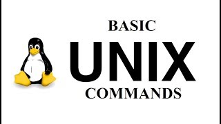 Basic Unix Commands  Quickly Learn in just 12 Minutes [upl. by Serles]