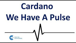 Cardano We Have A Pulse [upl. by Ilsa]