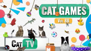 CAT Games  Ultimate Cat TV Compilation Vol 88  4 HOURS 🐝🐞🦋🦎🦜🐜🐭🧵 [upl. by Alexandr817]