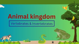 Classification of Vertebrates amp Invertebrates  Animal kingdom  Grade 7 [upl. by Amadas761]