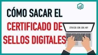 Como sacar los certificados de sellos digitales CSD [upl. by Eselehs]