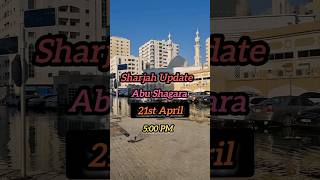 Sharjah Flood Update 21st April 2024 Abu Shagara sharjah flood abushagarah [upl. by Ahsitruc]