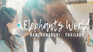 Elephants World  Kanchanaburi  Thailand [upl. by Eiddet]