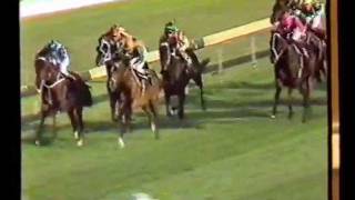 McGinty1984 Rawson Stakes [upl. by Weldon]