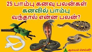 கனவில் பாம்பு வந்தால் என்ன பலன்  25 பாம்பு கனவு பலன்கள்  Pambu Kanavu Palan [upl. by Nerrol553]