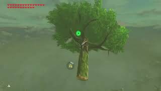 BOTW Tree Launch Compilation [upl. by Favin446]