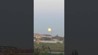 Luna plina Oradea [upl. by Eimas]