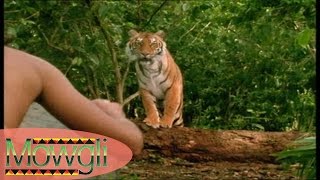 Dans la Jungle de Seonee  Mowgli  Part 1 [upl. by Alger]