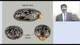 Lipids Lecture 3 for Pharm D students 2 Nov 2024 [upl. by Wilmette]