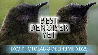 DxO PhotoLab 8 Elite  Noise Reduction Tested and Compared [upl. by Acsecnarf]