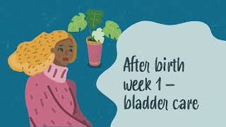 After birth week 1 – bladder care [upl. by Nikolia]