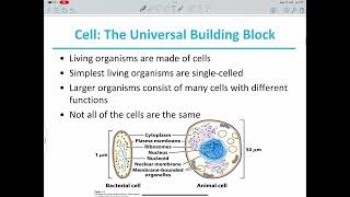 Biochemistry Lecture 1 [upl. by Anilas]