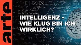 Wie klug bin ich wirklich  Über den Wert unseres IQ  ARTE Saloon Livetalk [upl. by Maupin]