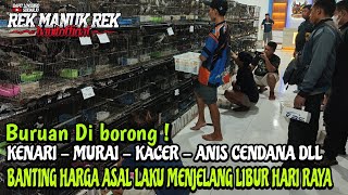 BANTING HARGA ASAL LAKU MENJELANG LIBUR HARI RAYA  KENARI  MURAI  KACER  ANIS CENDANA DLL [upl. by Krall]