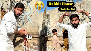 Rabbit House Ki Char Ghir Gai 😭 vlog [upl. by Oirobil]