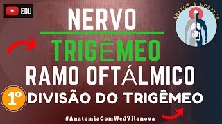 Nervo Trigêmeo RAMO OFTÁLMICO❗ Quais São❗❓ Descubra Aqui Anatomia Prática [upl. by Saks]