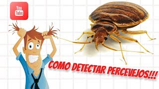 Como Detectar Percevejos de Cama [upl. by Laura635]