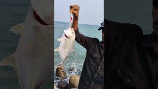 Catching Giant Trevally Fish in Uppada Fishing Harbour Fishers King YouTube Channel [upl. by Isus]