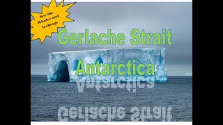 Unbelievable Adventure Exploring The Stunning Gerlache Straits In Antarctica  Ultimate World Cruise [upl. by Faust339]