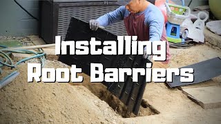 Installing Root Barriers to Protect House Foundations and Sidewalks [upl. by Retse]