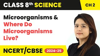 Microorganisms and Where Do Microorganisms Live  Class 8 Science Chapter 2  CBSE 202425 [upl. by Court552]