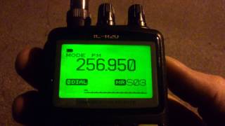 SATCOM 256950 ☠ Russian QSO [upl. by Attenal453]