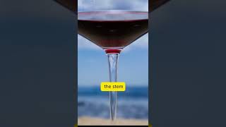 What If Wine Glass Doesnt Have Stem [upl. by Arst]