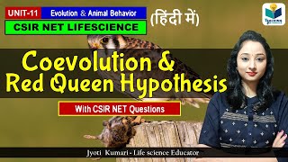 Coevolution amp Red Queen Hypothesisin Hindi  Evolution  CSIR NET 2024 [upl. by Ilatfen]