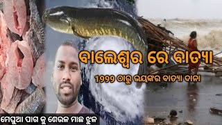 ବାଲେଶ୍ୱର ରେ ବାତ୍ୟା ଦାନା ରୋ ପ୍ରଭାବ  Odisha Cyclone In 2024  Baleshwar Cyclone Dana  Odia Vlog [upl. by Iffar649]