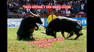 CHỌI TRÂU 2023 Full GIẢI ĐẤU [upl. by Eizle]