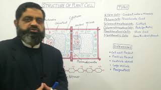 Structure of plant cell Urdu Hindi medium profmasoodfuzail Types of Plant cells [upl. by Enoob]