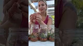 Fall Harvest Salad  Mason Jar Salad Recipe  Simple Lunch Salad  Plant Based Lunch Inspo [upl. by Bowers244]