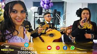 Mariachi Juvenil Primera Clase Majo 15048 Noviembre 16 Mariachis Bogotá [upl. by Sparky163]