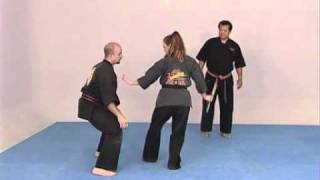 Kempo Karaté  Techniques pour débutant [upl. by Alletsyrc944]